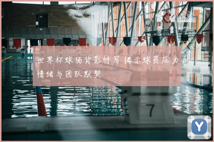 世界杯球场背影特写 揭示球员压力情绪与团队默契